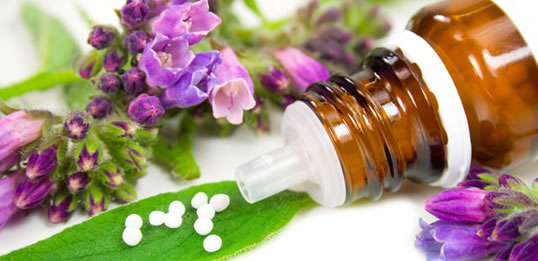 Dropper and tablets next to a collection of loose herbs